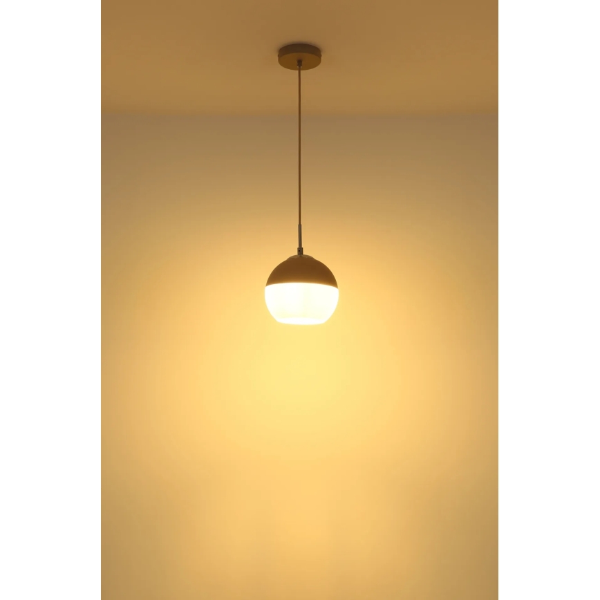 Globo - Lampadario a sospensione su cavo 1xE27/60W/230V Ø 20 cm