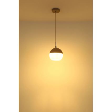 Globo - Hängeleuchte an Kabel 1xE27/60W/230V Ø 20 cm