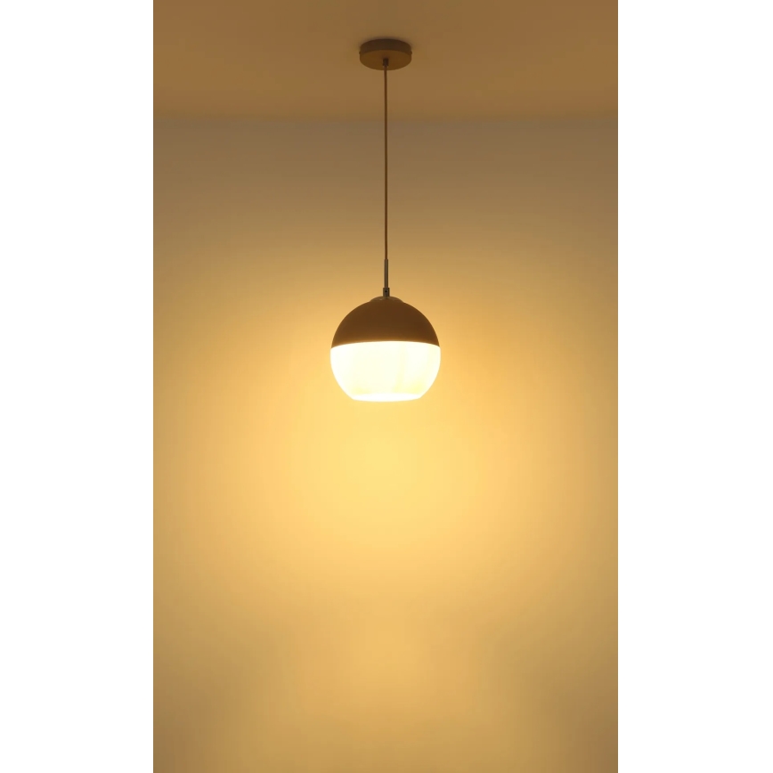 Globo - Lampadario a sospensione con cavo 1xE27/60W/230V Ø 25 cm