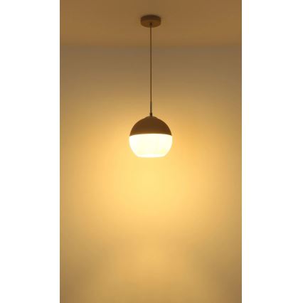 Globo - Pendelleuchte mit Kabel 1xE27/60W/230V, Durchmesser 25 cm