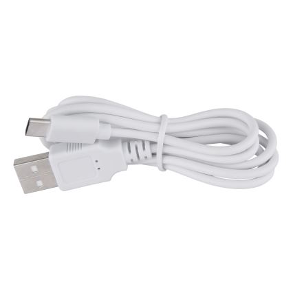 Globo - Lampe de table tactile à intensité variable LED/2W/5V 1200 mAh USB transparent