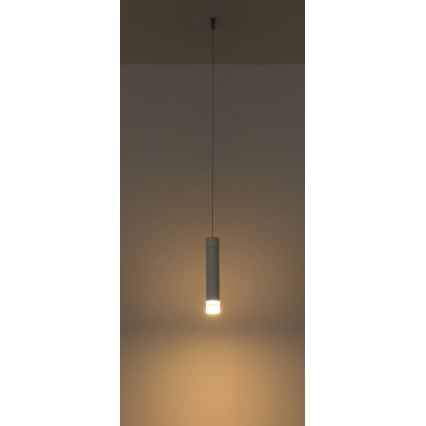 Globo - Lampe LED rechargeable tactile et dimmable 2 en 1 LED/2W/230/5V blanche