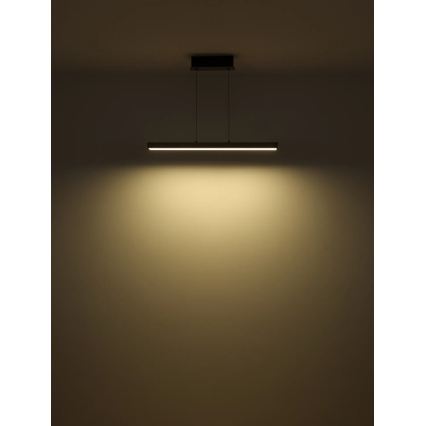Globo - LED per Touch dimmbare Hängeleuchte an Kabel LED/39W/230V 2700/4000/6000K grau
