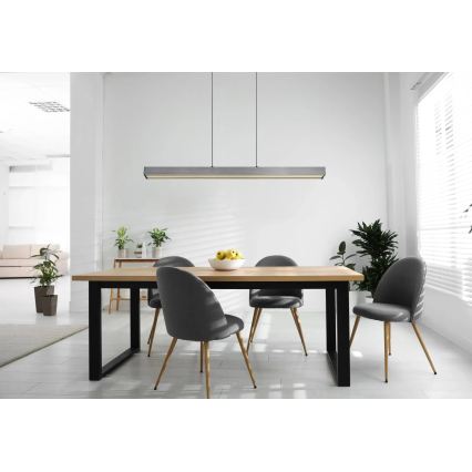 Globo - Suspension LED dimmable à commande tactile sur câble LED/39W/230V 2700/4000/6000K gris