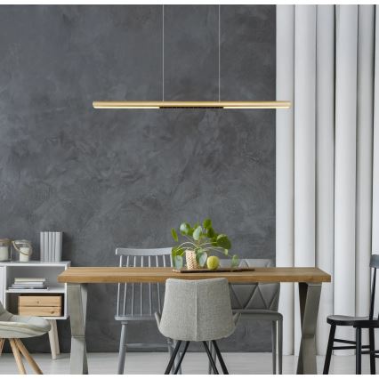 Globo - LED-Pendelleuchte an Seil LED/24W/230V 3000K