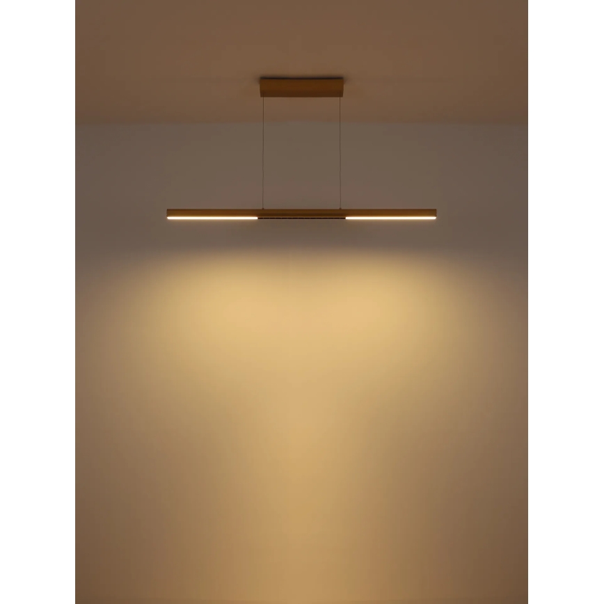 Globo - LED-Pendelleuchte an Seil LED/24W/230V 3000K