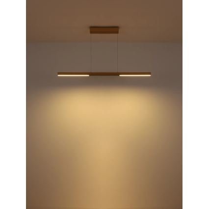Globo - Suspension LED sur câble LED/24W/230V 3000K