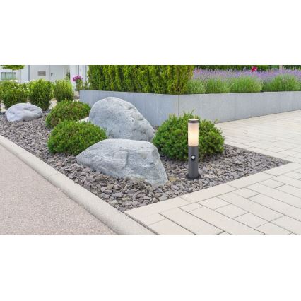 Globo - Lampe d'extérieur avec détecteur 1xE27/15W/230V 45 cm IP44