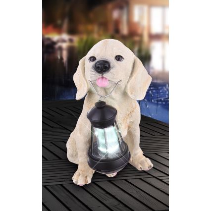 Globo - Luminaire solaire LED/0,06W/3V chien IP44