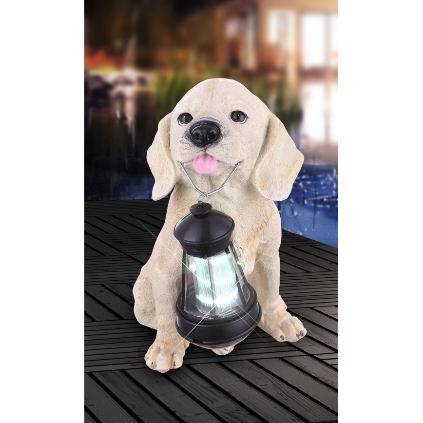 Globo - Luminaire solaire LED/0,06W/3V chien IP44