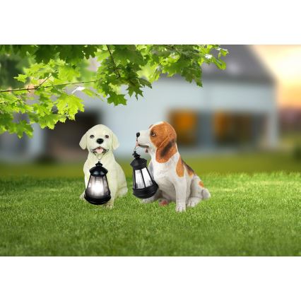 Globo - Luminaire solaire LED/0,06W/3V chien IP44