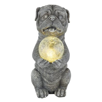 Globo - LED-Solardekoration LED/0,02W/3V IP44 Hund