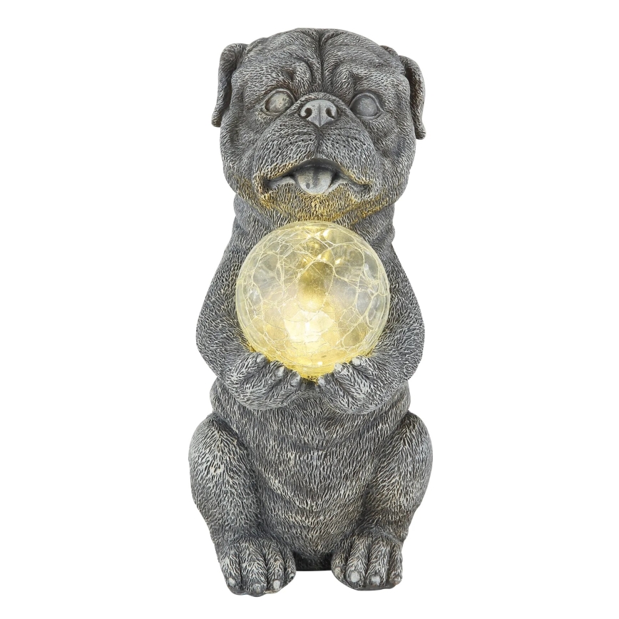Globo - LED-Solardekoration LED/0,02W/3V IP44 Hund