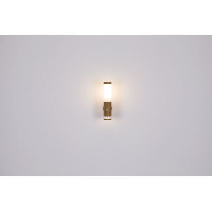 Globo - Applique da esterno 1xE27/15W/230V IP44