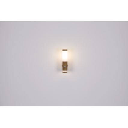 Globo - Lampe d'extérieur 1xE27/15W/230V IP44