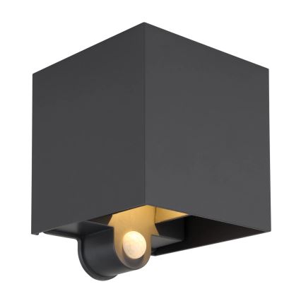 Globo - Applique murale d'extérieur LED avec détecteur 2xLED/3W/230V IP54