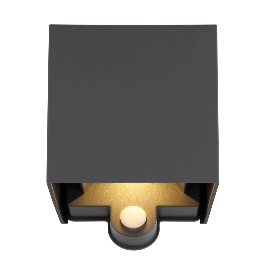 Globo - LED-Außenwandleuchte mit Sensor 2xLED/3W/230V IP54