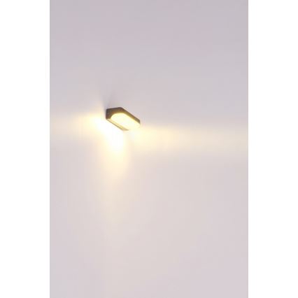 Globo - Applique murale extérieure LED/20W/230V IP54