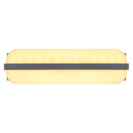 Globo - Applique murale extérieure LED/20W/230V IP54