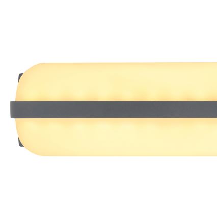 Globo - Applique murale extérieure LED/20W/230V IP54
