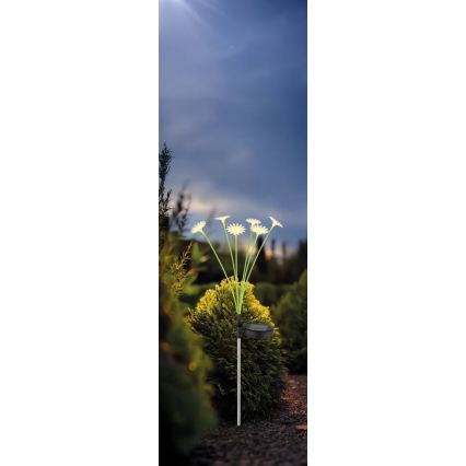 Globo - LED-Solarleuchte 6xLED/3V IP44 600 mAh Blumen-Design