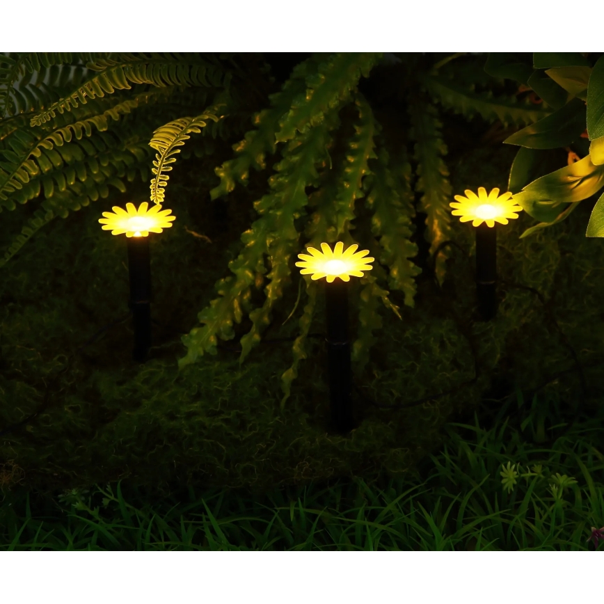 Globo - Guirlande solaire LED 5 x LED / 3 V, IP44, 300 mAh, 2,2 m, fleurs