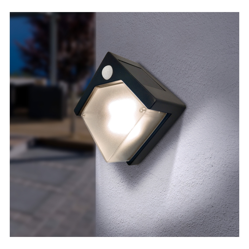 Globo - Lampada solare LED con sensore LED/0,48W/3V IP44