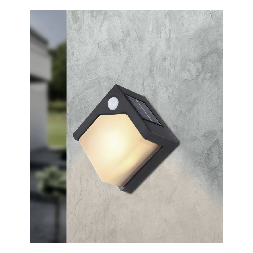 Globo – LED-Solarleuchte mit Sensor LED/0,48W/3V IP44