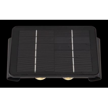 Globo - Lampada solare LED LED/1W/3,2V 3000K IP54