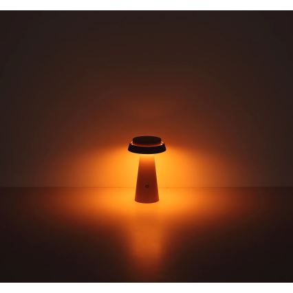 Globo - Dimmbare LED-Solarleuchte mit Touch-Funktion LED/4W/3,7W IP54 rosa