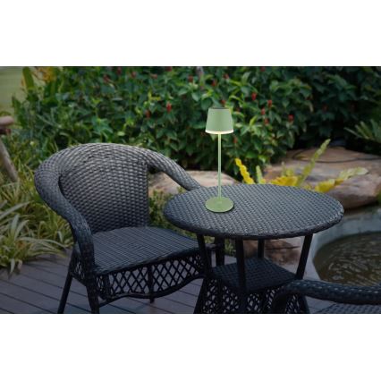 Globo - Lampe solaire LED/0,06W/3V 3000K IP44 vert