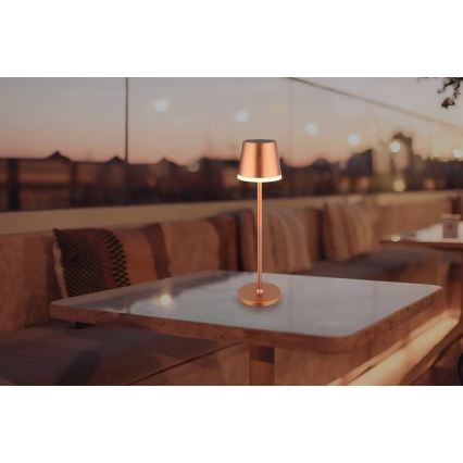 Globo - Lampada LED solare LED/0,6W/3V 3000K IP44 1200 mAh rame
