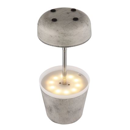 Globo - Lampada solare LED 10xLED/0,06W/3V IP44 grigio