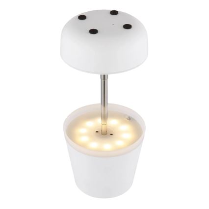Globo - LED-Solarleuchte 10xLED/0,06W/3V IP44 weiß
