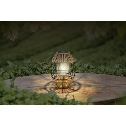 Globo – LED-Solarleuchte LED/2W/3V IP44