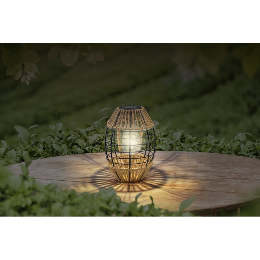 Globo – LED-Solarleuchte LED/2W/3V IP44
