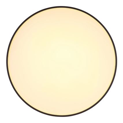 Globo - LED-Deckenleuchte LED/24W/230V d 48 cm anthrazit