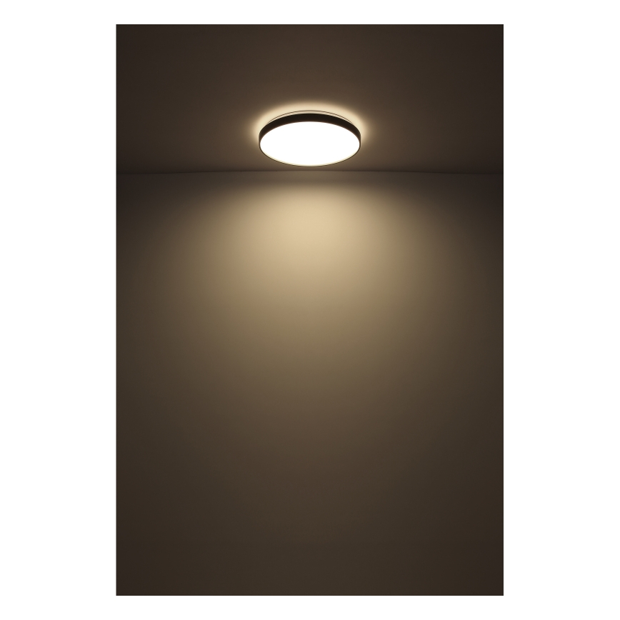 Globo - Plafonnier LED/24W/230V