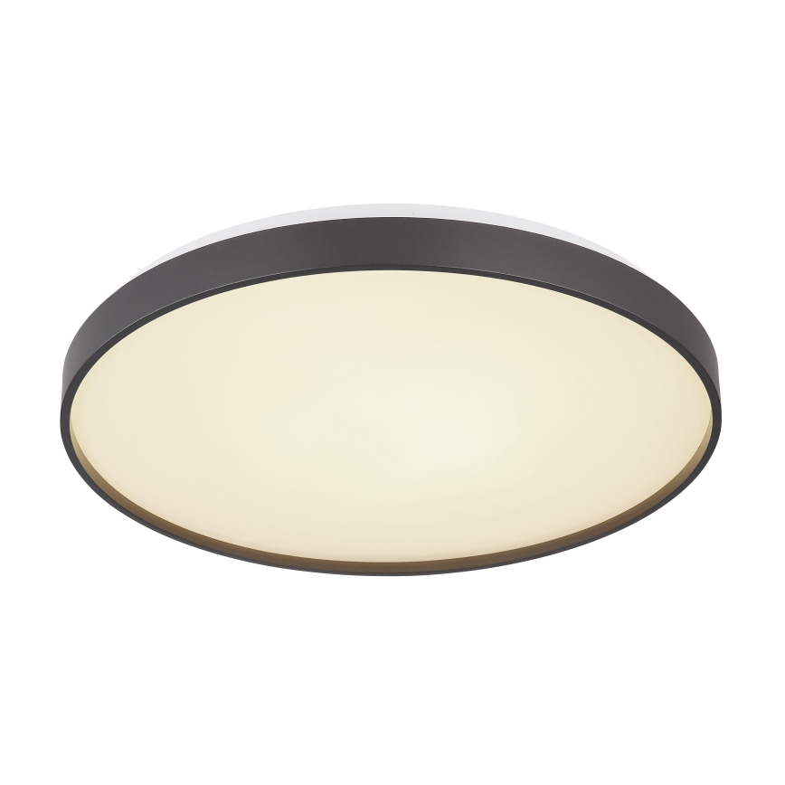 Globo - Plafonnier LED/24W/230V