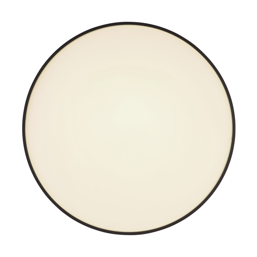 Globo - Plafonnier LED/24W/230V