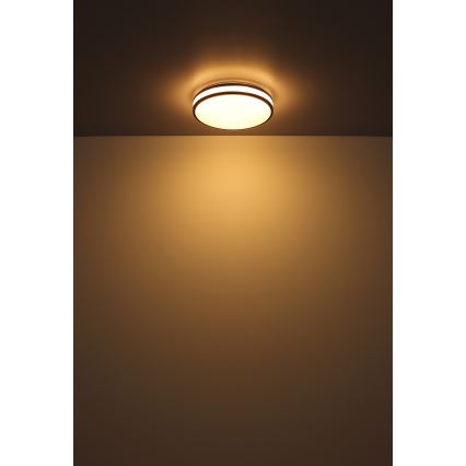 Globo - Plafoniera dimmerabile RGBW LED/18W/230V 2700-6000K + telecomando