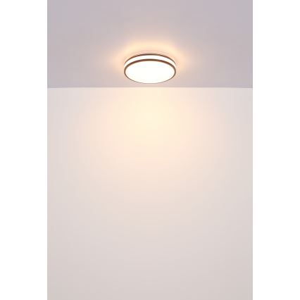 Globo - Plafoniera dimmerabile RGBW LED/18W/230V 2700-6000K + telecomando