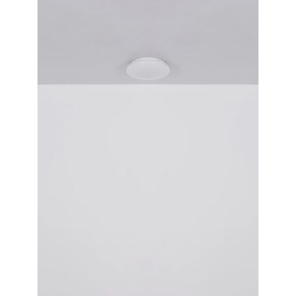 Globo - Plafoniera LED 8W/230V 4000K Ø 55 cm
