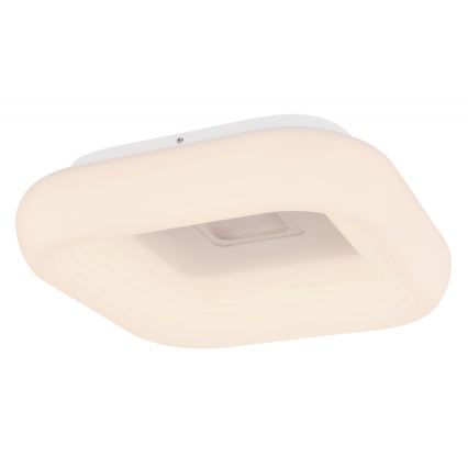 Globo - Plafoniera LED dimmerabile LED/50W/230V + telecomando