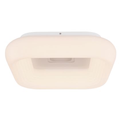 Globo - Plafoniera LED dimmerabile LED/50W/230V + telecomando