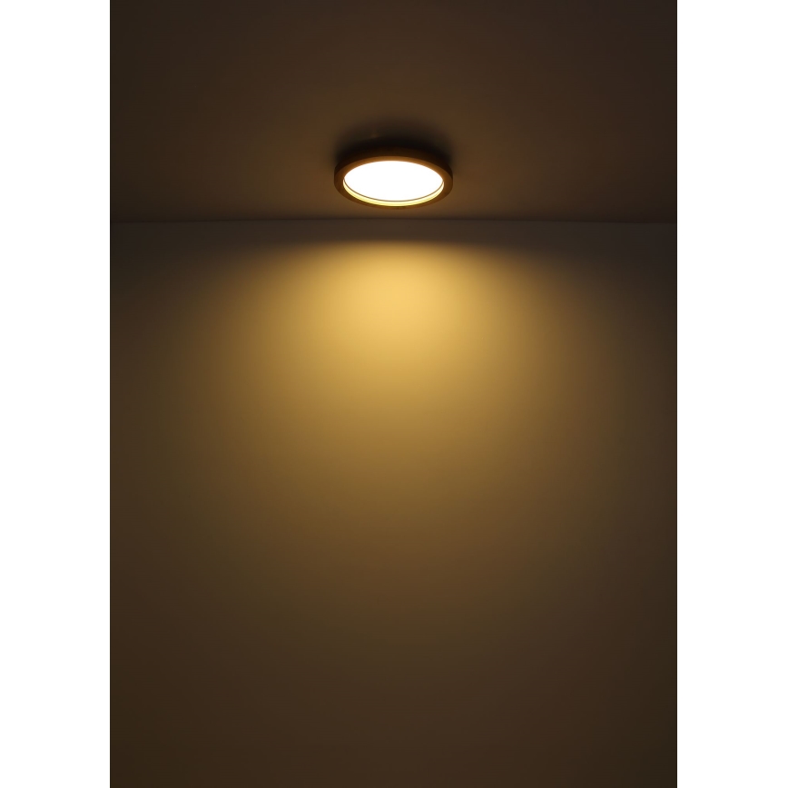 Globo - Plafoniera LED RGBW dimmerabile LED/24W/230V 2700-6000K + telecomando