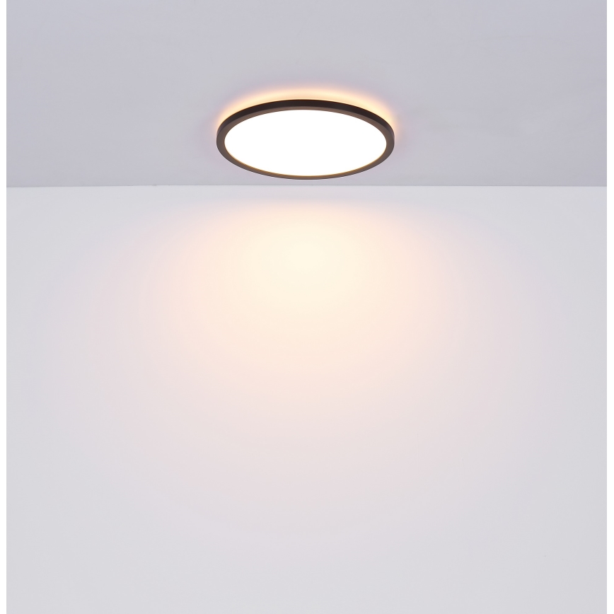 Globo - Dimmbare LED-Deckenleuchte für das Badezimmer LED/18W/230V d 29,4 cm IP44 schwarz