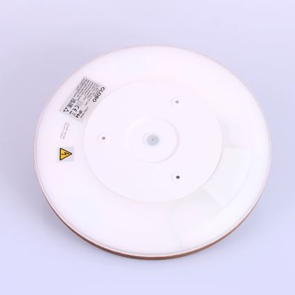 Globo - Plafoniera LED dimmerabile da bagno LED/18W/230V diametro 29,4 cm IP44 marrone