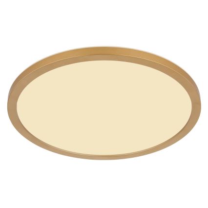 Globo - Plafoniera LED dimmerabile da bagno LED/24W/230V 3000K IP44 diametro 42 cm ottone