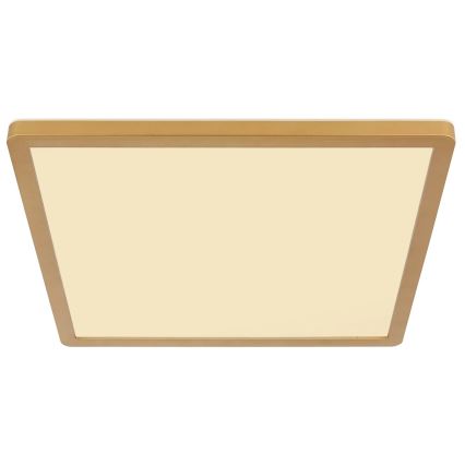 Globo - Plafoniera LED dimmerabile da bagno LED/18W/230V 3000K IP44 29,4x29,4 cm ottone